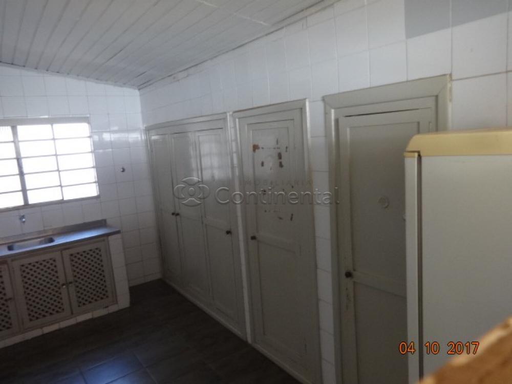 Alugar Casa / Padrão em Dourados R$ 3.900,00 - Foto 14 Alugar Casa / Padrão em Dourados R$ 3.900,00 - Foto 14