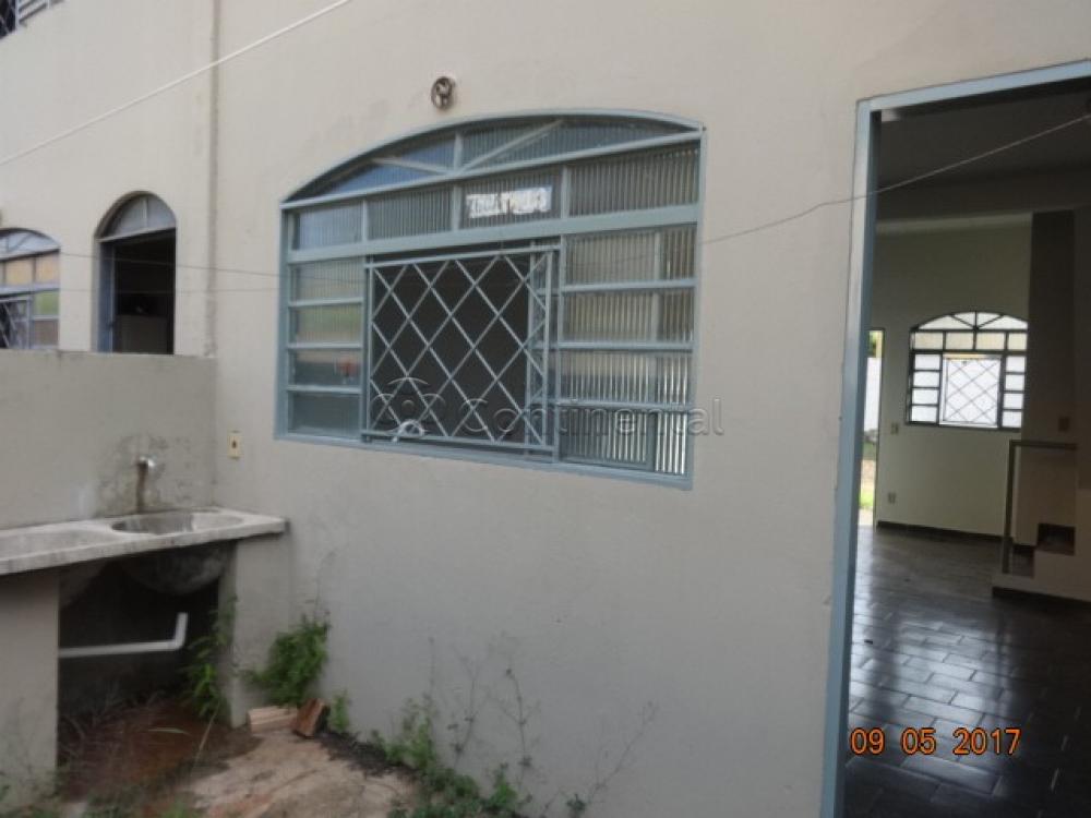 Alugar Apartamento / Kitinete em Dourados R$ 550,00 - Foto 4