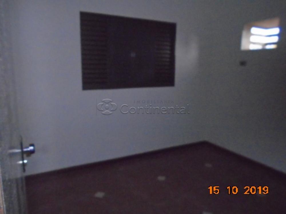 Alugar Apartamento / Padrão em Dourados R$ 1.100,00 - Foto 11 Alugar Apartamento / Padrão em Dourados R$ 1.100,00 - Foto 11