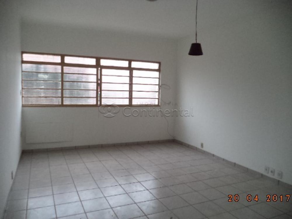 Alugar Apartamento / Kitinete em Dourados R$ 500,00 - Foto 5 Alugar Apartamento / Kitinete em Dourados R$ 500,00 - Foto 5
