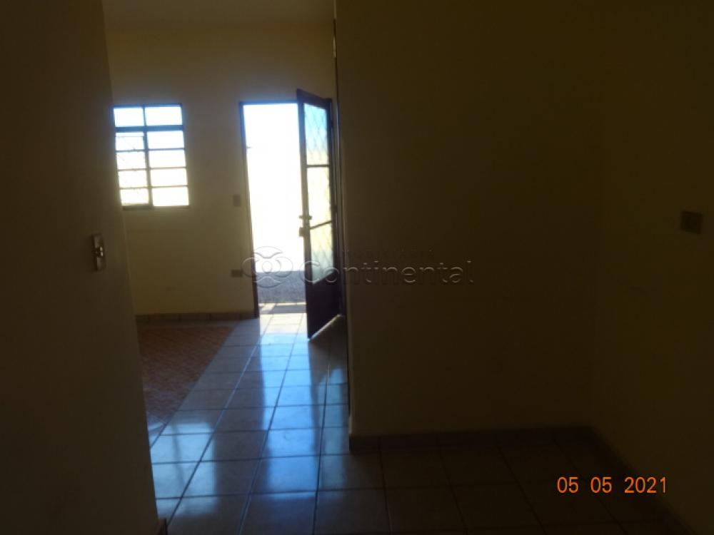 Alugar Apartamento / Kitinete em Dourados R$ 589,00 - Foto 5