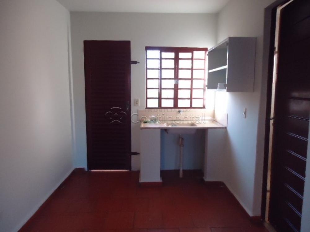 Alugar Apartamento / Kitinete em Dourados R$ 550,00 - Foto 6 Alugar Apartamento / Kitinete em Dourados R$ 550,00 - Foto 6