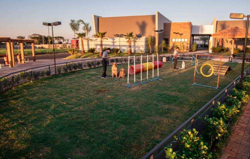 Alugar Casa / Condomínio em Dourados R$ 13.500,00 - Foto 48