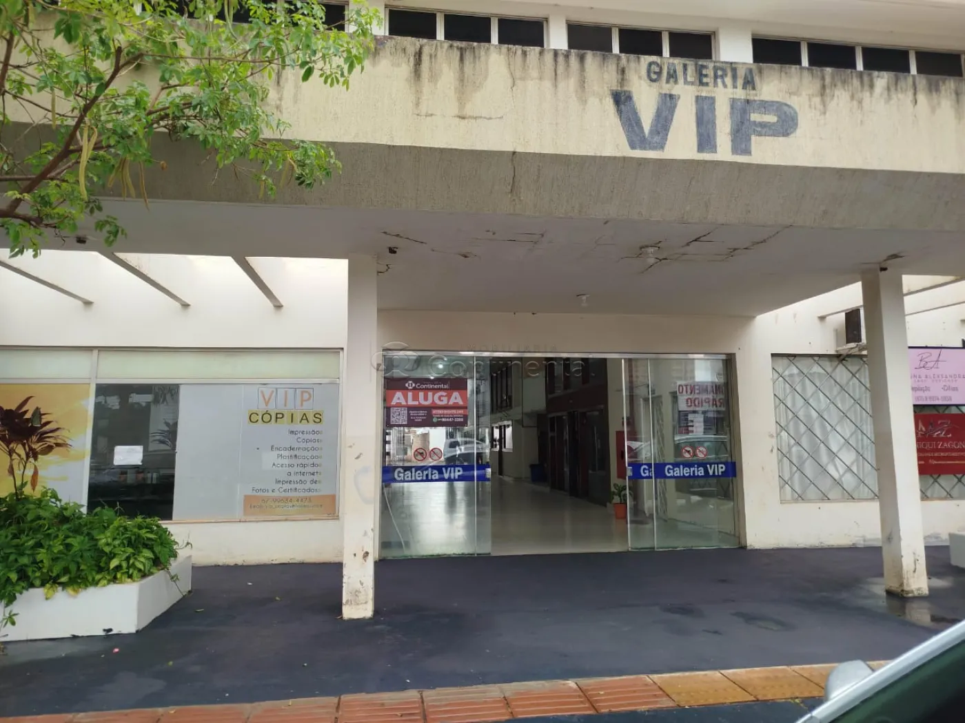 Alugar Comercial / Sala em Dourados R$ 900,00 - Foto 1