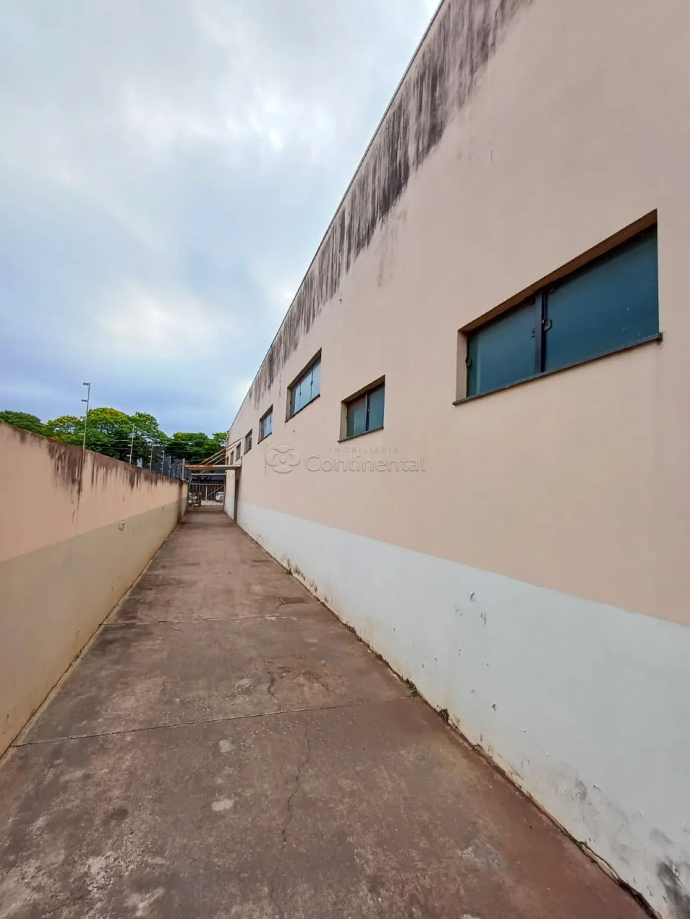 Alugar Comercial / Salão em Dourados R$ 6.000,00 - Foto 15