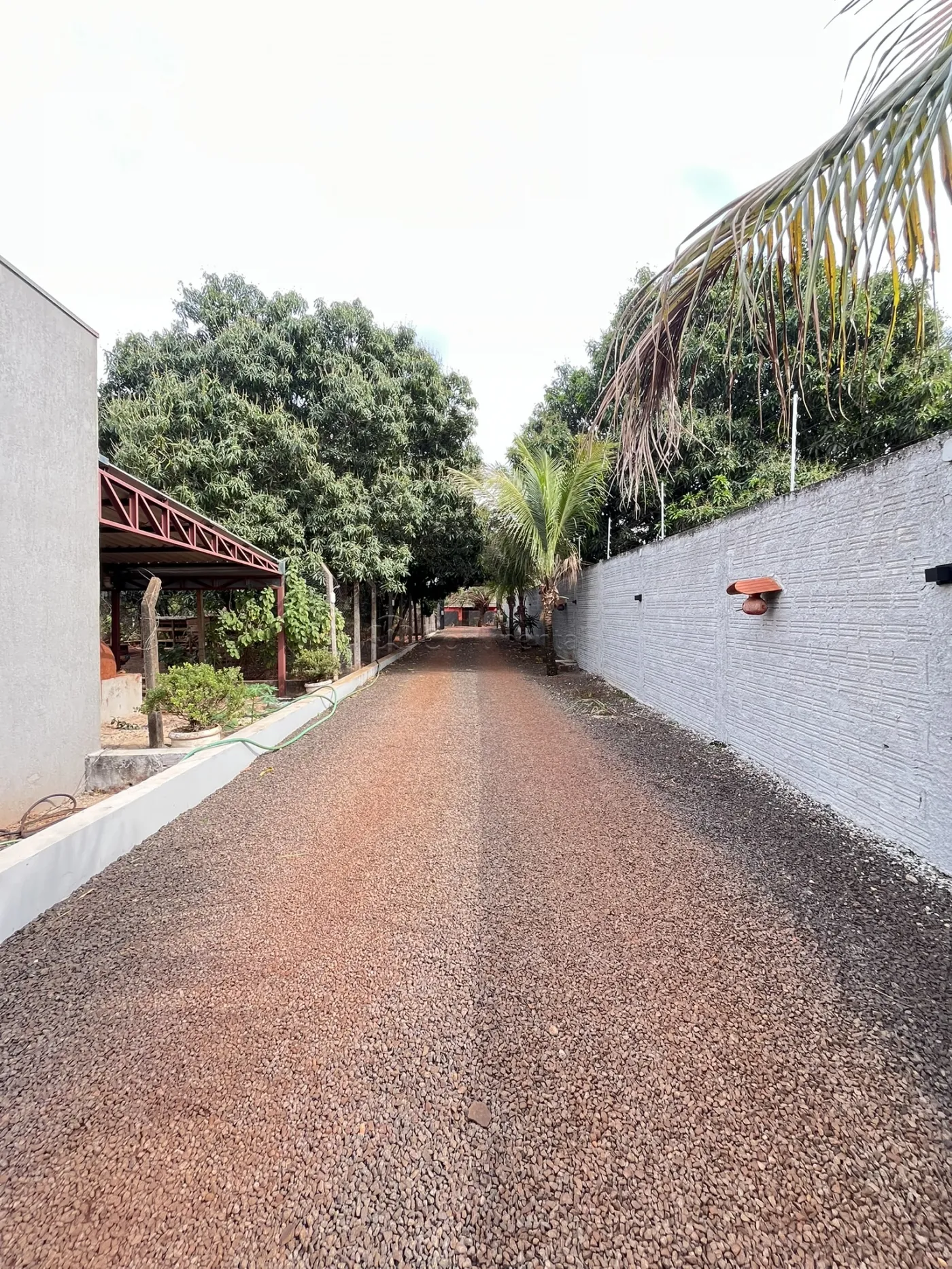Comprar Rural / Chácara em Dourados R$ 3.200.000,00 - Foto 6