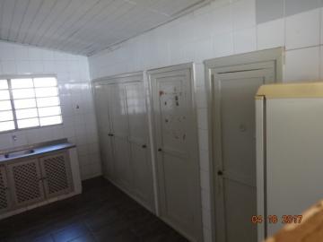 Alugar Casa / Padrão em Dourados R$ 3.900,00 - Foto 14 Alugar Casa / Padrão em Dourados R$ 3.900,00 - Foto 14