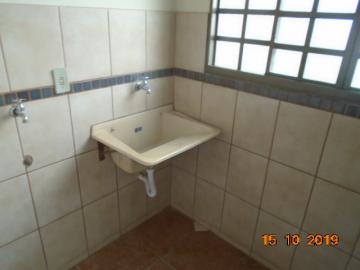 Alugar Apartamento / Padrão em Dourados R$ 1.100,00 - Foto 6 Alugar Apartamento / Padrão em Dourados R$ 1.100,00 - Foto 6