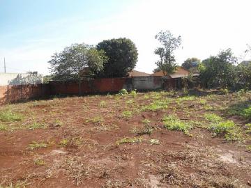 imagem 2 - Terreno para locação em Dourados imagem 2 - Terreno para locação em Dourados