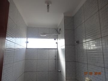 Alugar Apartamento / Padrão em Dourados R$ 650,00 - Foto 7 Alugar Apartamento / Padrão em Dourados R$ 650,00 - Foto 7