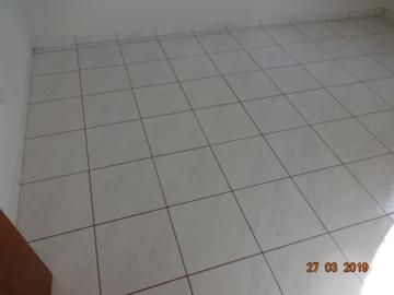 Alugar Apartamento / Padrão em Dourados R$ 650,00 - Foto 10 Alugar Apartamento / Padrão em Dourados R$ 650,00 - Foto 10