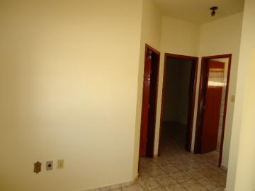 Alugar Apartamento / Kitinete em Dourados R$ 660,00 - Foto 9 Alugar Apartamento / Kitinete em Dourados R$ 660,00 - Foto 9