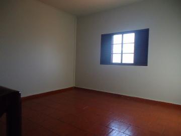 Alugar Apartamento / Kitinete em Dourados R$ 550,00 - Foto 3 Alugar Apartamento / Kitinete em Dourados R$ 550,00 - Foto 3