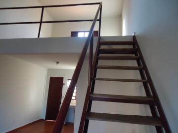 Alugar Apartamento / Kitinete em Dourados R$ 550,00 - Foto 5 Alugar Apartamento / Kitinete em Dourados R$ 550,00 - Foto 5