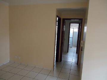 Alugar Apartamento / Padrão em Dourados R$ 1.200,00 - Foto 4 Alugar Apartamento / Padrão em Dourados R$ 1.200,00 - Foto 4