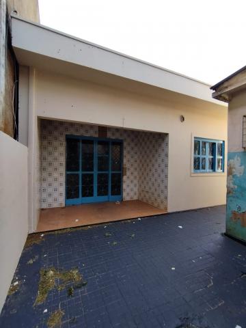imagem 2 - Casa para locação em Dourados/MS imagem 2 - Casa para locação em Dourados/MS