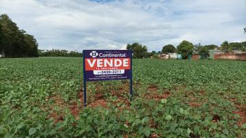 imagem 1 - Sítio a VENDA área Rural de Dourados - MS imagem 1 - Sítio a VENDA área Rural de Dourados - MS