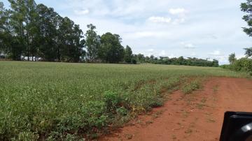 Sítio a VENDA área Rural de Dourados - MS