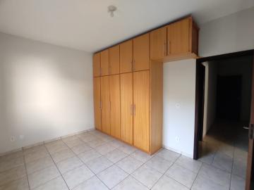 imagem 5 - Casa para locação em Dourados-MS. imagem 5 - Casa para locação em Dourados-MS.