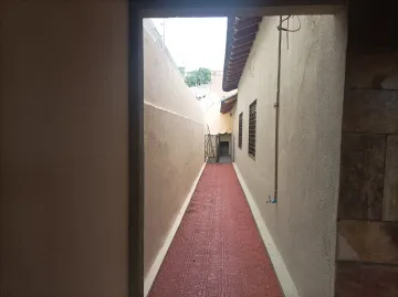 imagem 4 - Casa para locação em Dourados/MS. imagem 4 - Casa para locação em Dourados/MS.