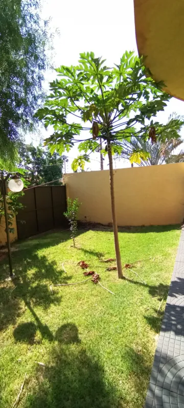 imagem 2 - Excelente imóvel no Parque Alvorada imagem 2 - Excelente imóvel no Parque Alvorada