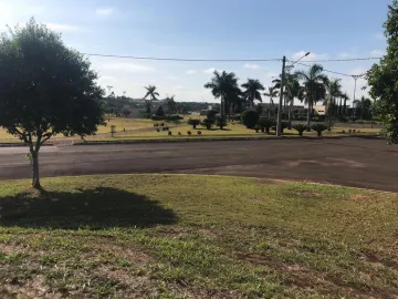 Terreno rua Fernando Noronha, 100- Golden Park Residence