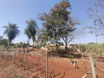 imagem 2 - Terreno Comercial para locação em - Dourados-MS imagem 2 - Terreno Comercial para locação em - Dourados-MS