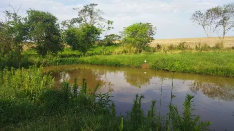 Chácara com 2ha, Rodovia Douradina/Piraporã- Zona rural