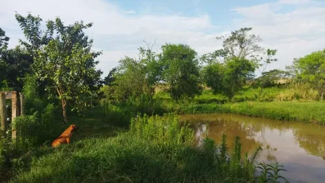 Chácara com 2ha, Rodovia Douradina/Piraporã- Zona rural