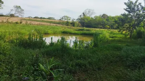 Chácara com 2ha, Rodovia Douradina/Piraporã- Zona rural