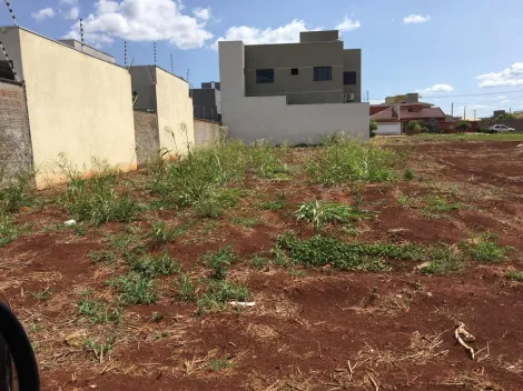 imagem 1 - Terreno no Bairro Novo Parque Alvorada na rua Eduardo  Cerzósimo de Souza, 1525 imagem 1 - Terreno no Bairro Novo Parque Alvorada na rua Eduardo  Cerzósimo de Souza, 1525