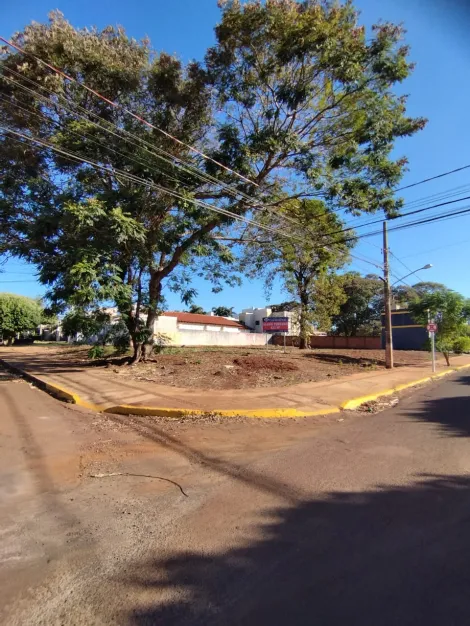 imagem 2 - Terreno Comercial para locação em Dourados-MS imagem 2 - Terreno Comercial para locação em Dourados-MS