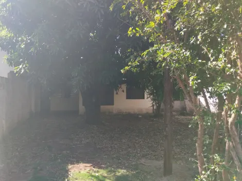 imagem 2 - ÓTIMO LOTE A VENDA 360M², localizado na rua Antônio Azambuja- Vila Santa Catarina imagem 2 - ÓTIMO LOTE A VENDA 360M², localizado na rua Antônio Azambuja- Vila Santa Catarina
