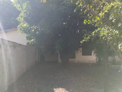 imagem 3 - ÓTIMO LOTE A VENDA 360M², localizado na rua Antônio Azambuja- Vila Santa Catarina imagem 3 - ÓTIMO LOTE A VENDA 360M², localizado na rua Antônio Azambuja- Vila Santa Catarina