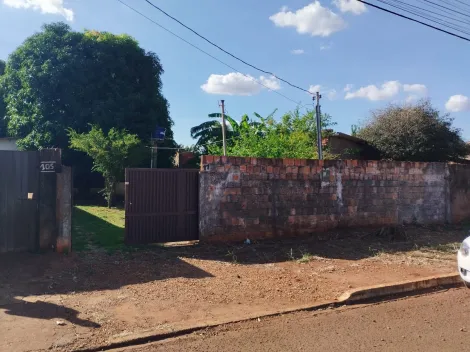 imagem 4 - ÓTIMO LOTE A VENDA 360M², localizado na rua Antônio Azambuja- Vila Santa Catarina imagem 4 - ÓTIMO LOTE A VENDA 360M², localizado na rua Antônio Azambuja- Vila Santa Catarina