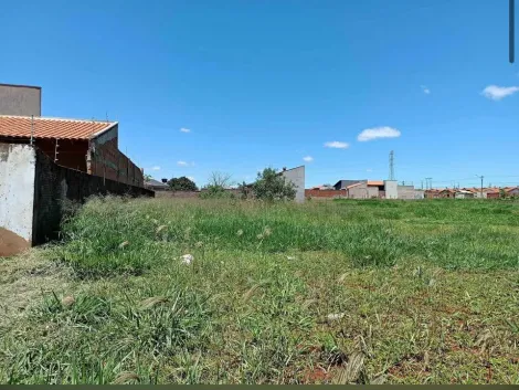 imagem 1 - Terreno - Padrão imagem 1 - Terreno - Padrão