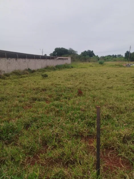 imagem 3 - Lote 1000m² 20x50 - Campo Belo imagem 3 - Lote 1000m² 20x50 - Campo Belo