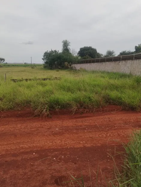 imagem 4 - Lote 1000m² 20x50 - Campo Belo imagem 4 - Lote 1000m² 20x50 - Campo Belo