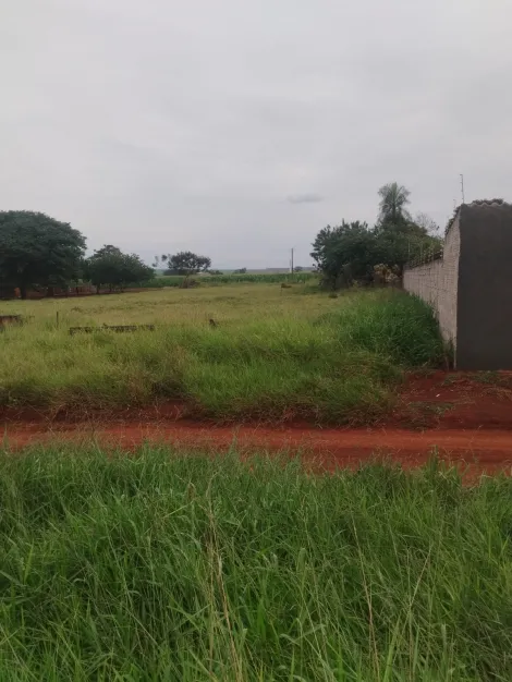 imagem 5 - Lote 1000m² 20x50 - Campo Belo imagem 5 - Lote 1000m² 20x50 - Campo Belo