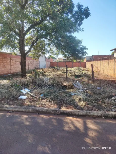 imagem 2 - Terreno na Rua Gumercindo Theotonio da Silva s/n  Jardim Guaicurus,  12/30 todo murados no asfalto próximo de mercado, escolas excelente localização em Dourados. imagem 2 - Terreno na Rua Gumercindo Theotonio da Silva s/n  Jardim Guaicurus,  12/30 todo murados no asfalto próximo de mercado, escolas excelente localização em Dourados.