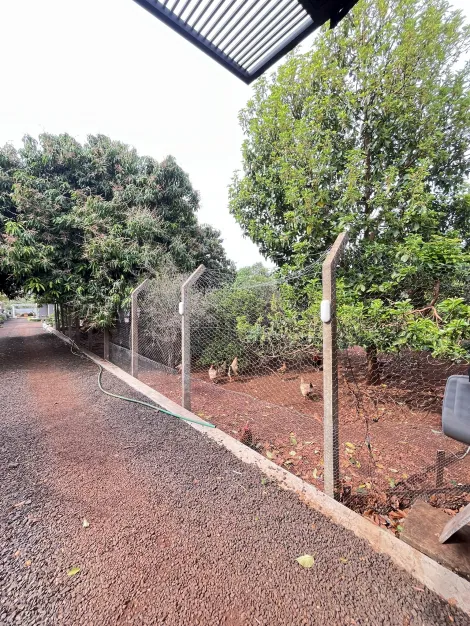 imagem 4 - CHÁCARA ENCANTADORA ÁREA URBANA !!!! imagem 4 - CHÁCARA ENCANTADORA ÁREA URBANA !!!!