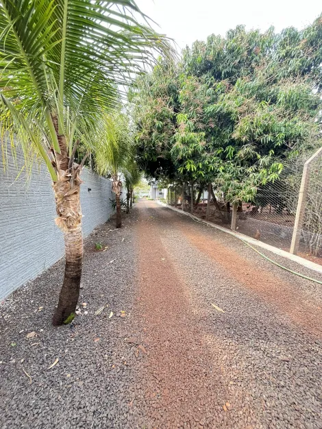 imagem 5 - CHÁCARA ENCANTADORA ÁREA URBANA !!!! imagem 5 - CHÁCARA ENCANTADORA ÁREA URBANA !!!!